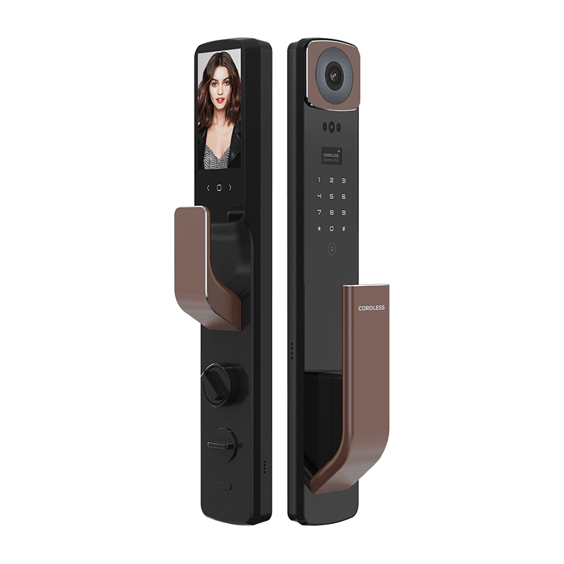 Door Lock CL-G2 (Black & Silver & Brown)