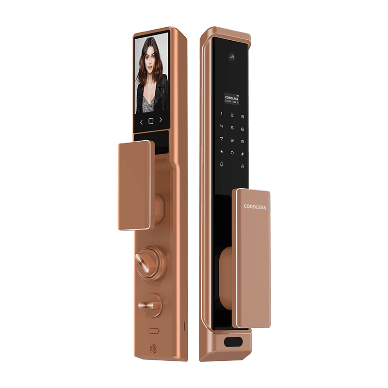 Door Lock CL-Mars (Black & Silver & Brown)