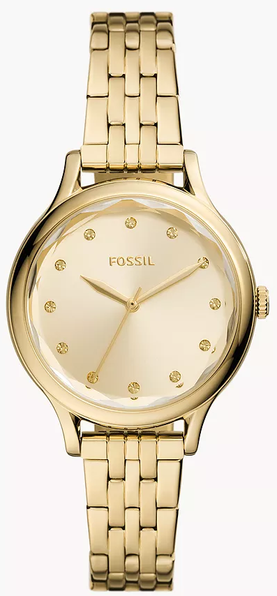 BQ3863 fossil watch