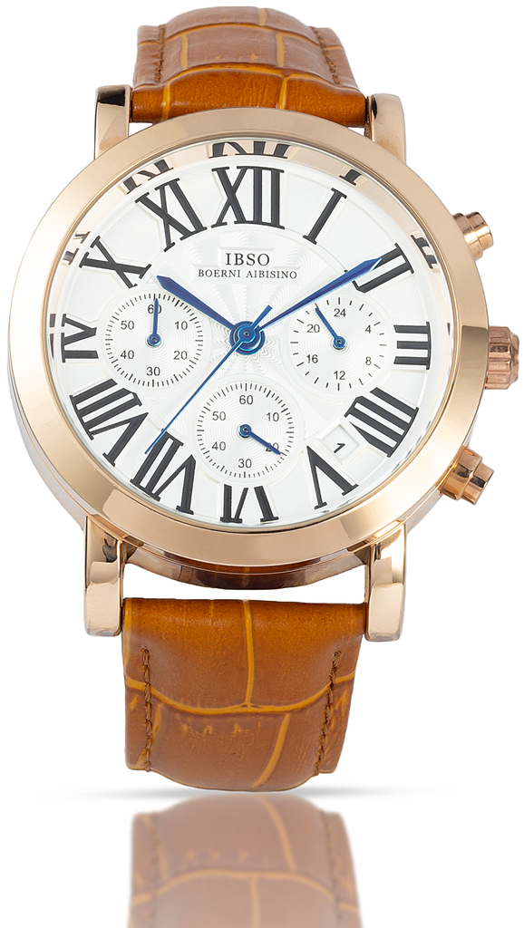 IBSO WATCH -47
