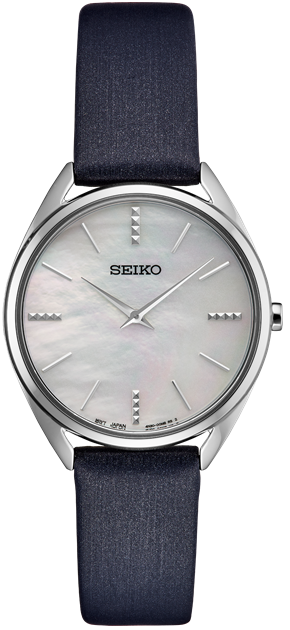 SWR079P1