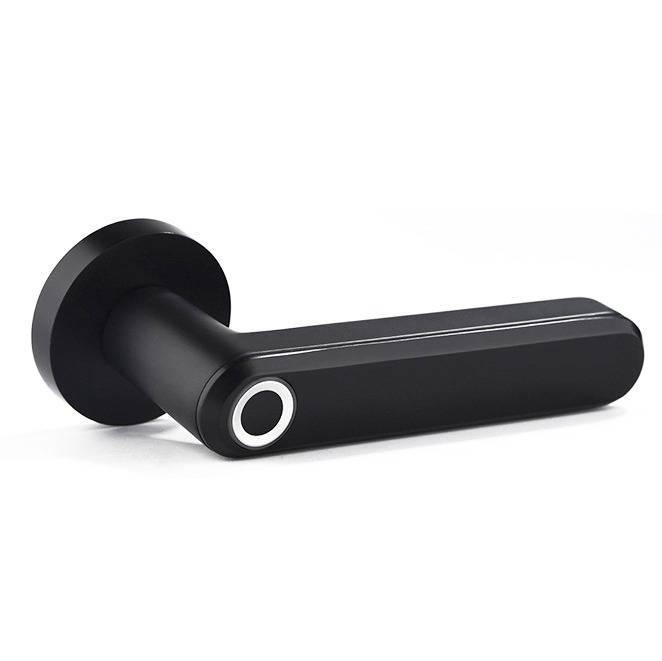 HANDLE Smart Lock No APP