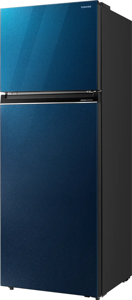 ثلاجة توشيبا نوفروست، 450 لتر، 2 باب، انفرتر،باب زجاجي، أزرق ساطع، GR-RT624WE-PGN (73) 
