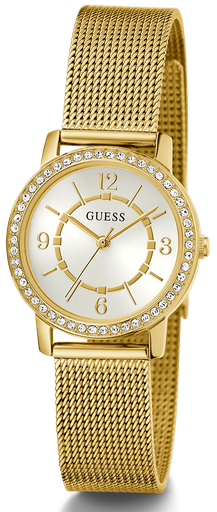 [GW0534L2] GW0534L2