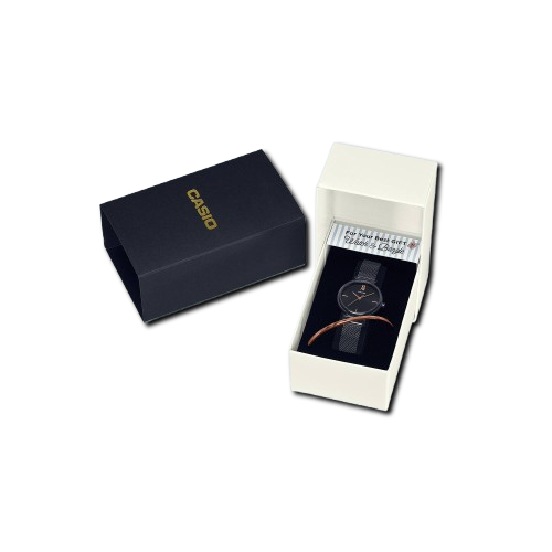 [LTP-2023VMB-1CDR] LTP-2023VMB-1CDR