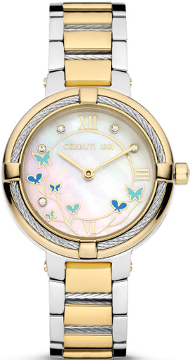 [CIWLG0008303] CIWLG0008303