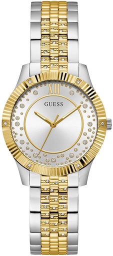 [GW0765L1] GW0765L1