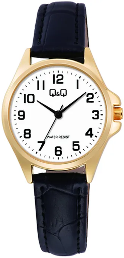 [C37A-012PY] C37A-012PY