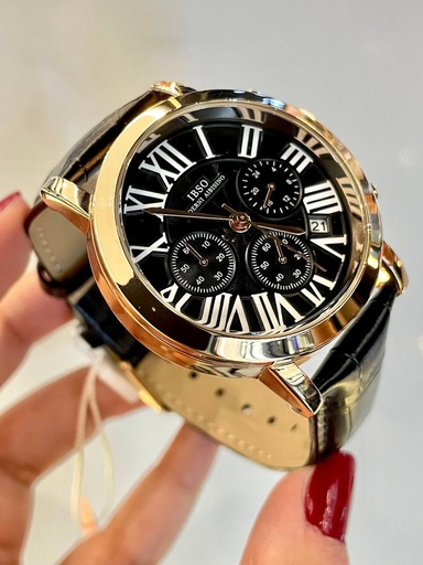 [IBSO WATCH -12] IBSO WATCH -12