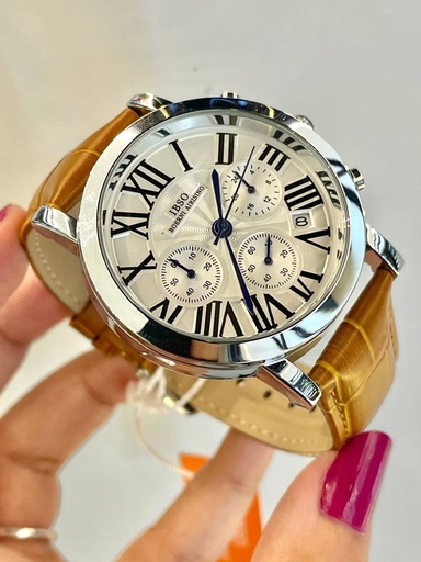 [IBSO WATCH -17] IBSO WATCH -17