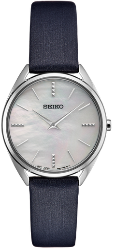 [SWR079P1] SWR079P1